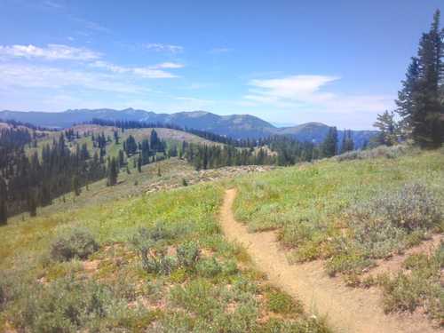 The ridge before Danish Pass with Naomi highcountry in back