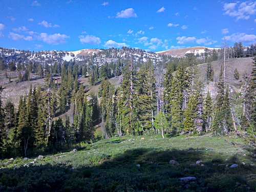 Still a fair amount of snow in the Naomi high-country