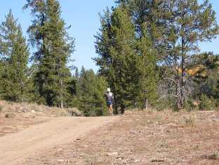 Approaching the Ranger Dip aid station