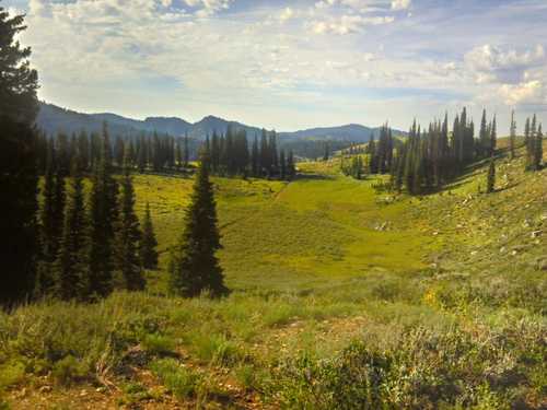 A typical section of the Highline jeep trail