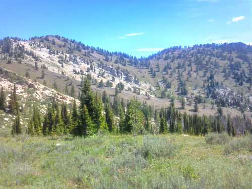 A rocky side of Bloomington Peak