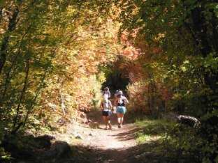 Runners along the Right Hand Fork trail