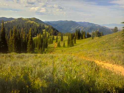 Typical scenery along the Highline single-track trail