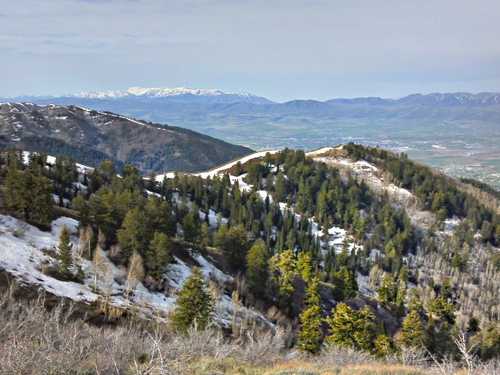 The view south from Welches Flat