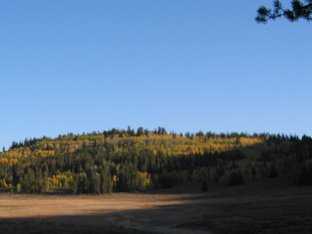 Early morning Fall color near Ranger Dip aid station