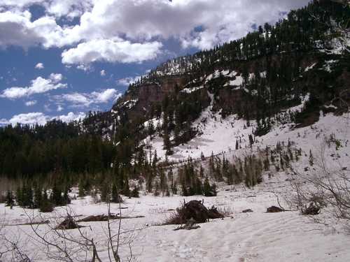 Extensive snow northeast of Logan Peak