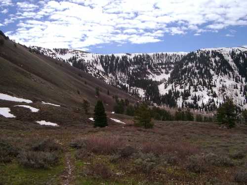 Snow at the top of Logan Dry Canyon