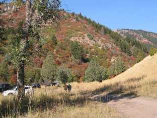 Coming into the Leatham Hollow aid station